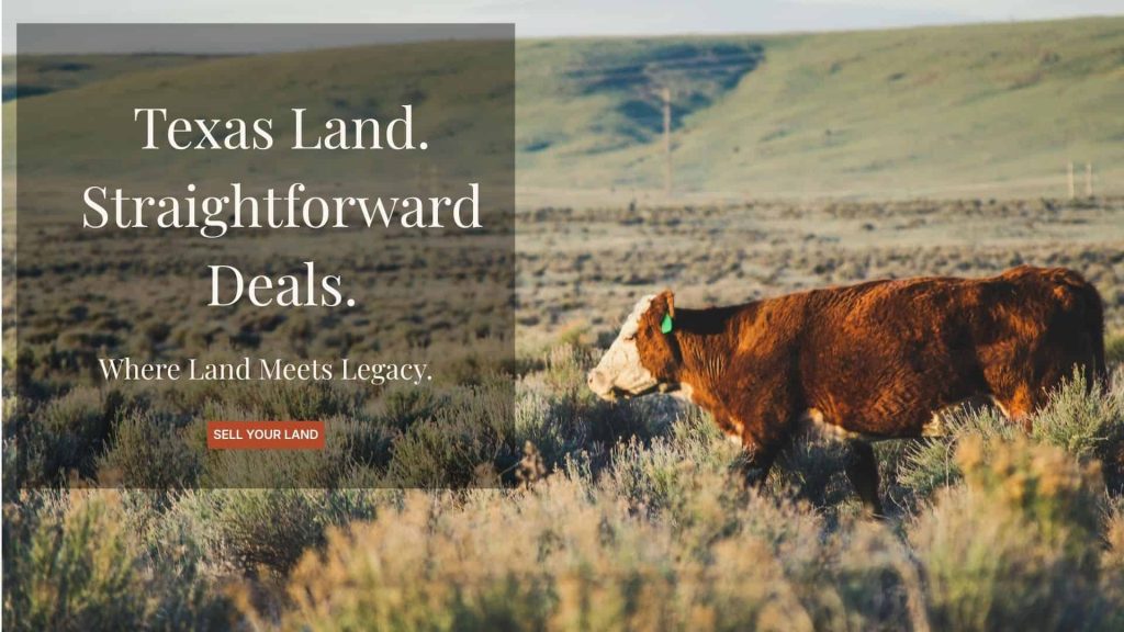 Texas longhorn cattle pasture – T. Boone Land